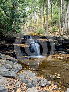 Swallow Falls State Park in the fall in the mountains of Maryland with the creek and waterfalls flowing, cascading in nature