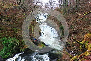 Swallow Falls, Wales, UK