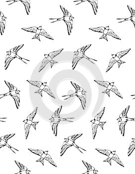 Swallow and House Martin birds vector pattern