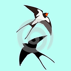 Swallow vector illustration flat style profile side black