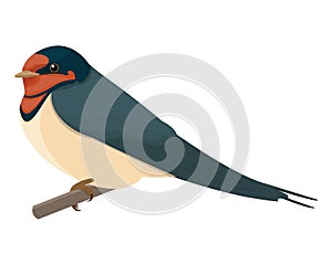 Swallow vector illustration style flat side front