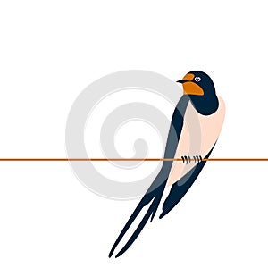 Swallow vector