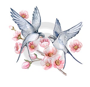 Swallow witt flowers. Couple in love. Birds in flight isolated on white background. Watercolor. Illustration