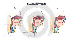 Swallowing process explanation with anatomical principle outline diagram