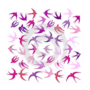 Swallows, background for your design