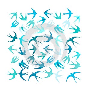 Swallows, background for your design