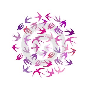 Swallows, circle frame for your design