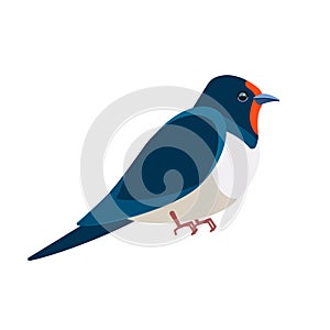 Swallows, martins, and saw-wings, or Hirundinidae, are a family of passerine birds. Bird Cartoon flat style beautiful