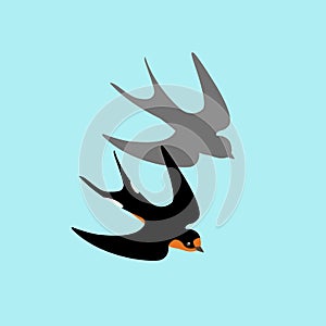 Swallows vector illustration style Flat set