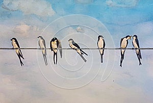 Swallows on a wire watercolour painting