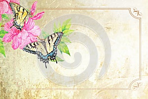 Swallowtail Butterfly background