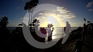 SWAMIS Beach Sunset with Palms 1 California