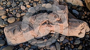 Swamis Reef Surf Park Melted Rocks Encinitas California.