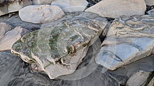 Swamis Reef Surf Park Melted Rocks Encinitas California.