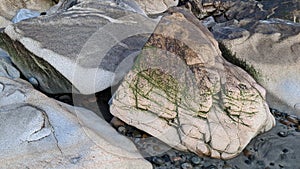 Swamis Reef Surf Park Melted Rocks Encinitas California.