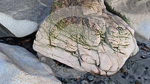 Swamis Reef Surf Park Melted Rocks Encinitas California.