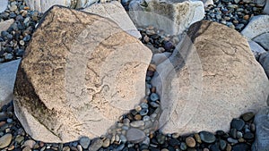 Swamis Reef Surf Park Melted Rocks Encinitas California.