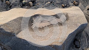 Swamis Reef Surf Park Melted Rocks Encinitas California.