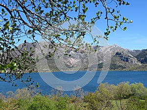 swamp dam water storage natural reserve castile and leon spain photo