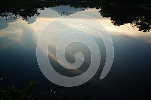 swamp ecosystem, mangrove tree environment and ponds