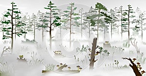 Swamp in the fog in front of the pine tree forest. Silhouette vector illustration of the bog with fallen trees, fungus