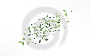 Swamp Foliage Realistic Vector White Background