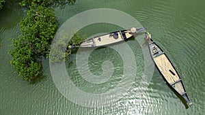 Swamp forest Sylhet in Banglade