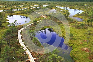 Swamp lakes