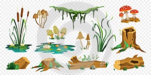 Swamp Landscape Constructor Set