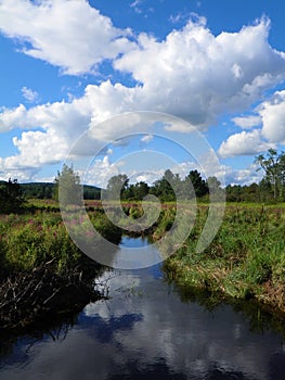 Swamp marsh water canal under summer sky