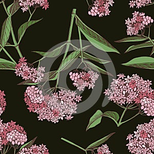 Swamp Milkweed Wildflower seamless dark