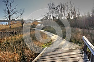 Swamp path HDR