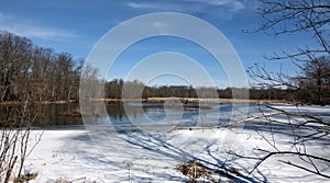 Swamp Pond Landscape in Winter