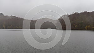 Swamp of Santa Fe in a raining day, Montseny natural park