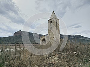 Swamp in Sau reservoir, Catalonia, Spain