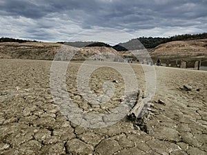 Swamp in Sau reservoir, Catalonia, Spain