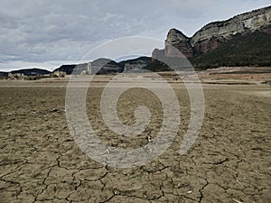 Swamp in Sau reservoir, Catalonia, Spain