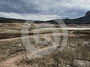 Swamp in Sau reservoir, Catalonia, Spain