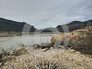 Swamp in Sau reservoir, Catalonia, Spain