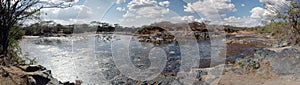 Swamp in the Serengeti - Panoramic view