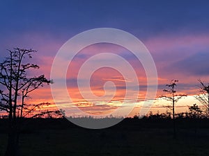 swamp sunsets in the Louisiana marsh