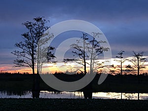 swamp sunsets in the Louisiana marsh