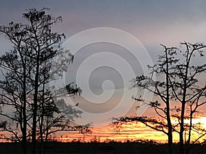 swamp sunsets in the Louisiana marsh
