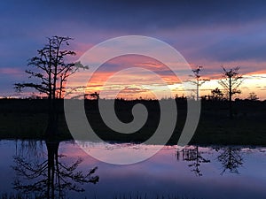 swamp sunsets in the Louisiana marsh