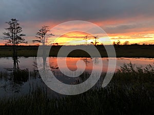 swamp sunsets in the Louisiana marsh