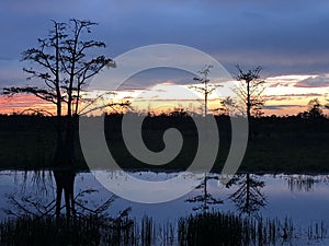 swamp sunsets in the Louisiana marsh