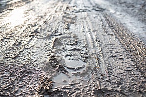 Swamp and wet road in Western Ukraine village, countryside path, closeup, sunlight