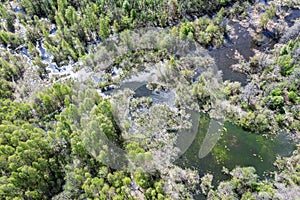 Swamp wetland and green forest landscape in spring day. birds eye view