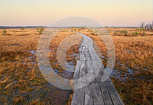 Swamp Yelnya in autumn landscape. Wild mire of Belarus. East European swamps and Peat Bogs. photo