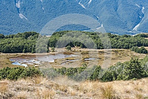 Swampland in Arthur's Pass National Park photo